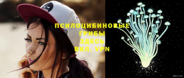 стафф Куйбышев
