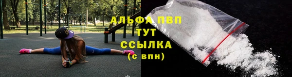 стафф Куйбышев