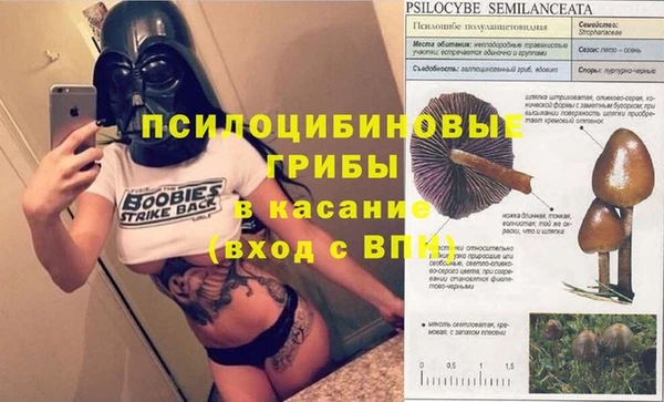 ГАЛЛЮЦИНОГЕННЫЕ ГРИБЫ Кукмор
