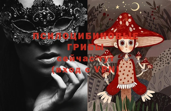 ГАЛЛЮЦИНОГЕННЫЕ ГРИБЫ Кукмор
