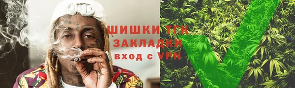 прущие грибы Чита