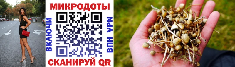 даркнет сайт  Краснообск  Псилоцибиновые грибы прущие грибы 