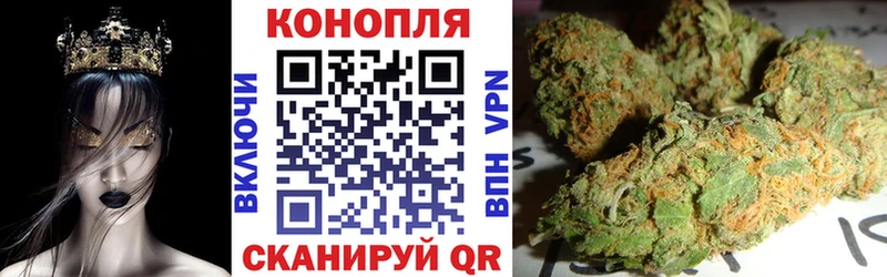 Бошки Шишки White Widow  где найти наркотики  Краснообск 